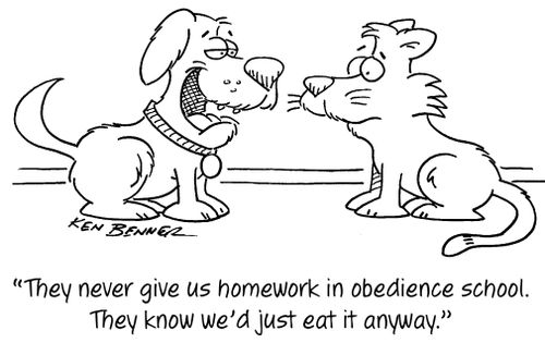 "They never give us homework in obedience school. They know we'd just eat it anyway."