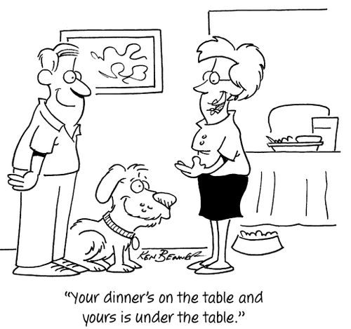 "Your dinner's on the table and yours is under the table."