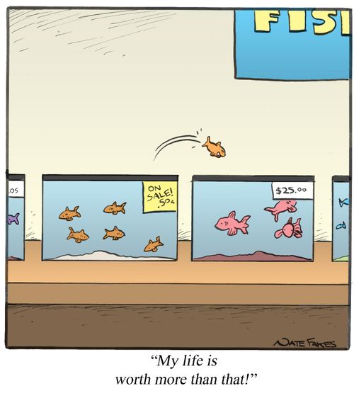 'My life is worth more than that!'