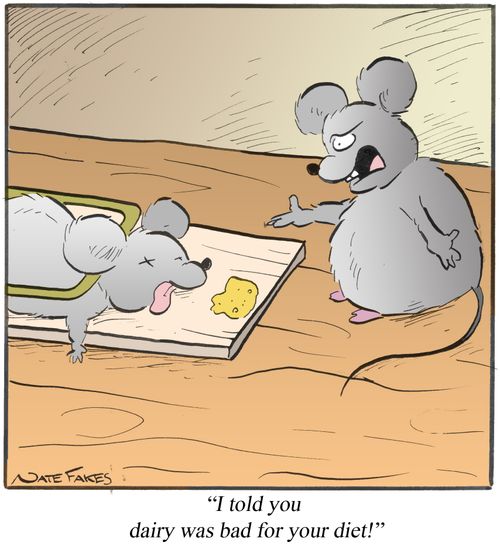 "I told you dairy was bad for your diet!"