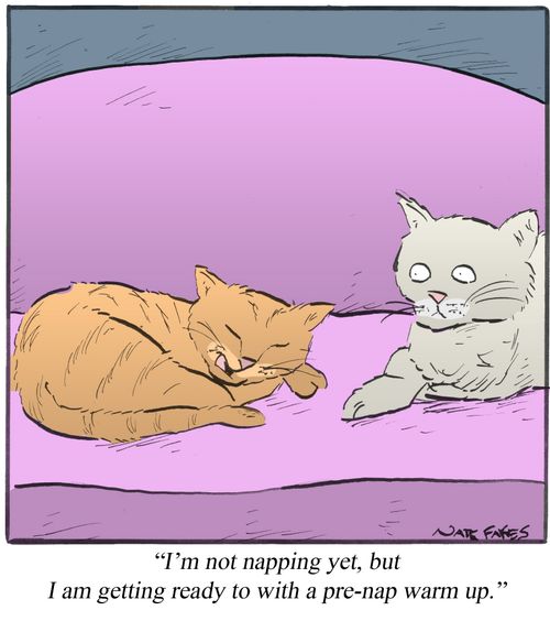 "I'm not napping yet, but I am getting ready to with a pre-nap warm up."