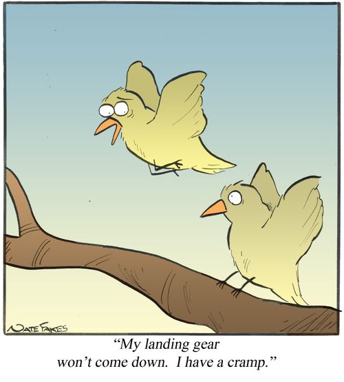 "My landing gear won't come down. I have a cramp."