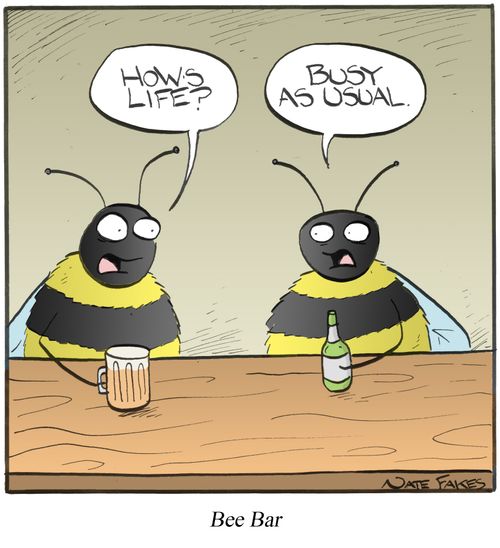 Bee Bar