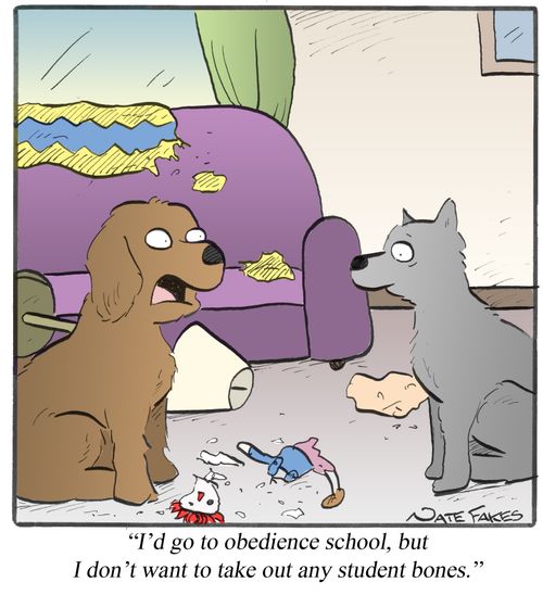 "I'd go to obedience school, but I don't want to take out any student bones."