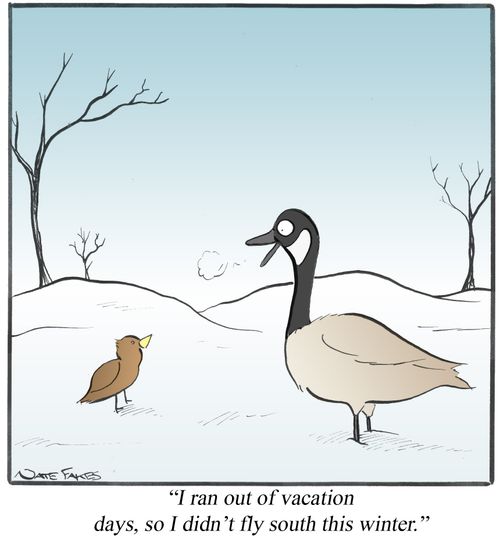 "I ran out of vacation days, so I didn't fly south this winter."