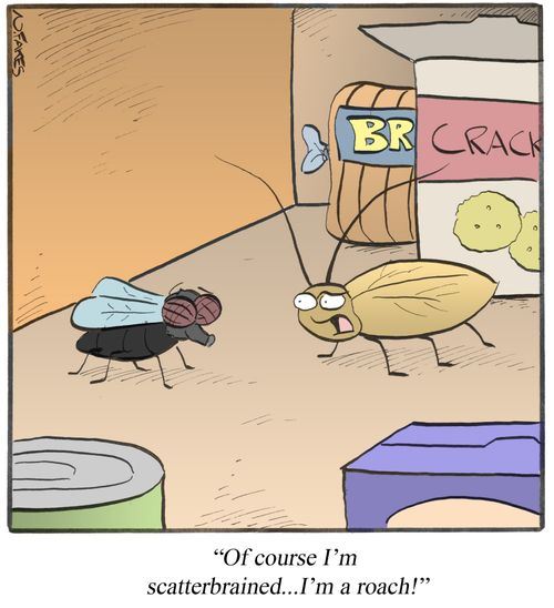 "Of course I'm scatterbrained...I'm a roach!"