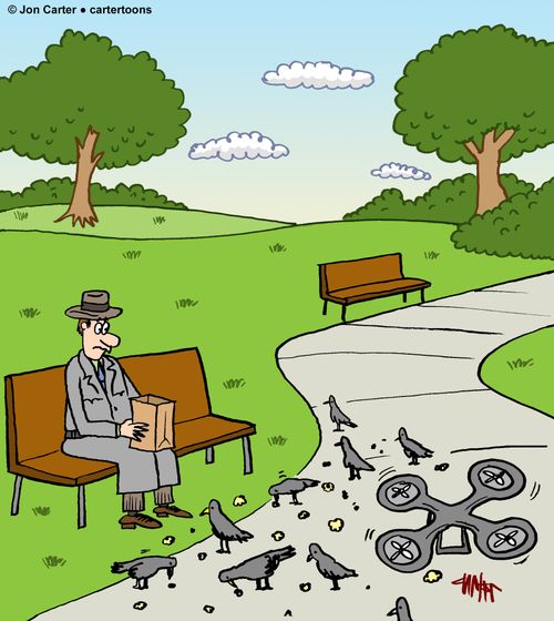 Man On Park Bench Feeding Birds And A Drone.
