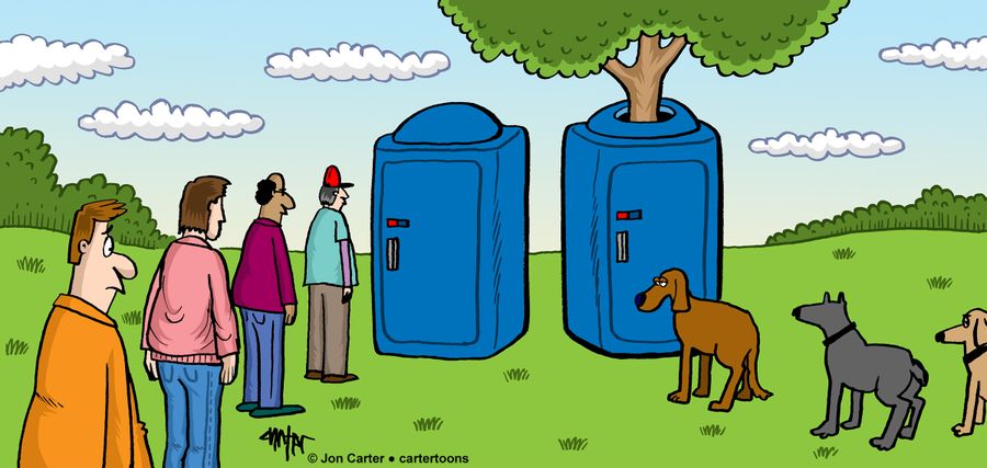 Humans Queue To Use Portable Toilet While Dogs Queue To Use Tree Portable Toilet