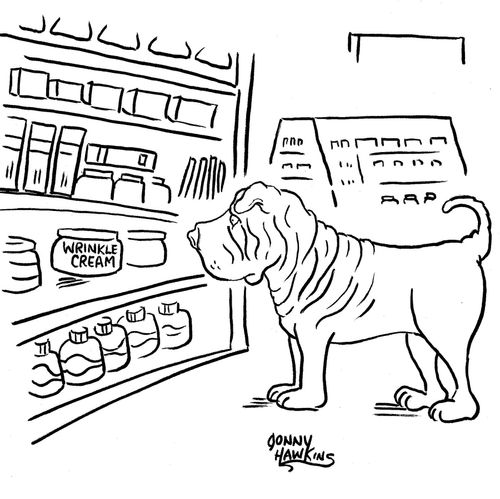 Shar-Pei sees wrinkle cream.
