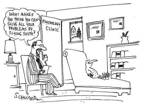 'What makes you think you can solve all your problems by flying south?'