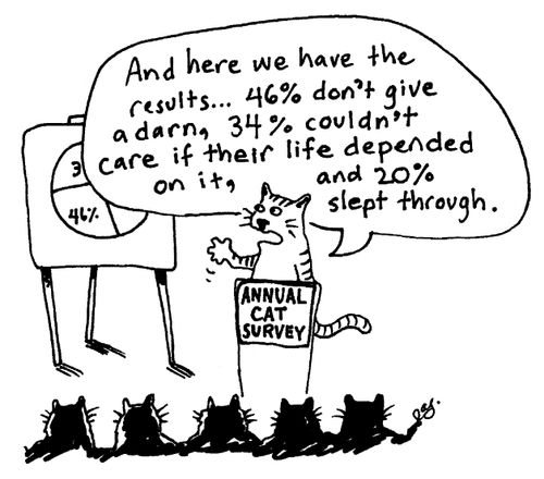 Annual cat survey.