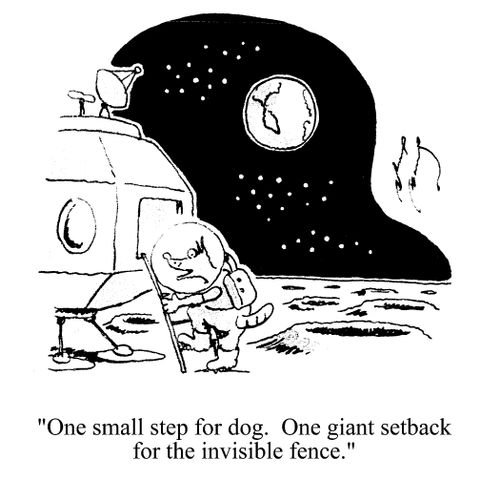 'One small step for dog. One giant setback for the invisible fence.'