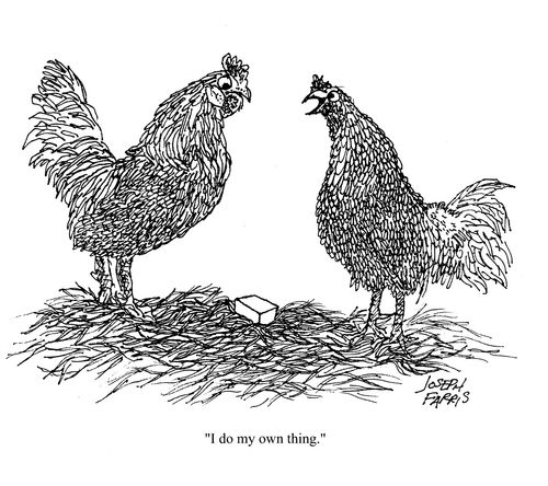 'I do my own thing.'