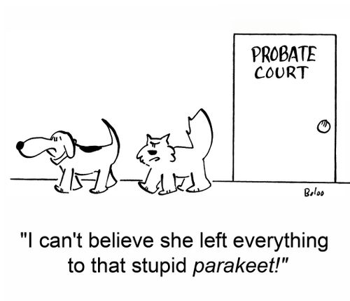 'I can't believe she left everything to that stupid parakeet!'