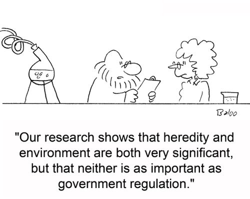 'Our research shows that heredity and environment are both very significant, but that neither is as important as government regulation.'