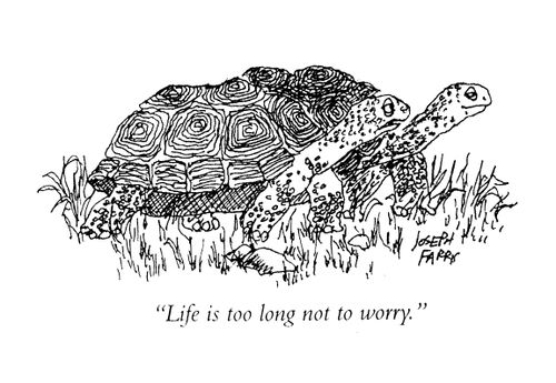 'Life is too long not to worry.'