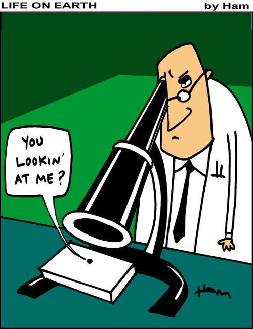 Tough germ.