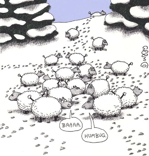 Baaa...humbug.