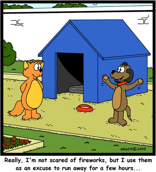 'Really, I'm not scared of fireworks, but I use them as an excuse to run away for a few hours...'