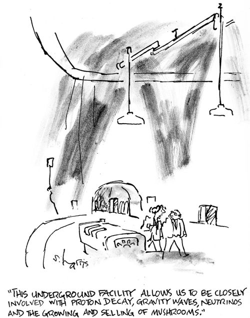 'This underground facility allows us to be closely involved with proton decay,,,and grow mushrooms,'