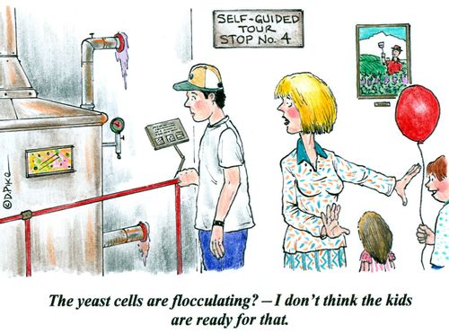 'The yeast cells are flocculating? - I don't think the kids are ready for that.'