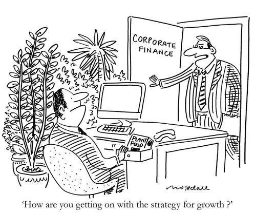 'How are you getting on with the strategy for growth ?'