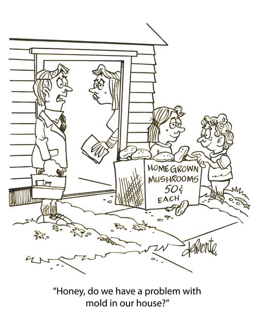 'Honey, do we have a problem with mold in our house?'