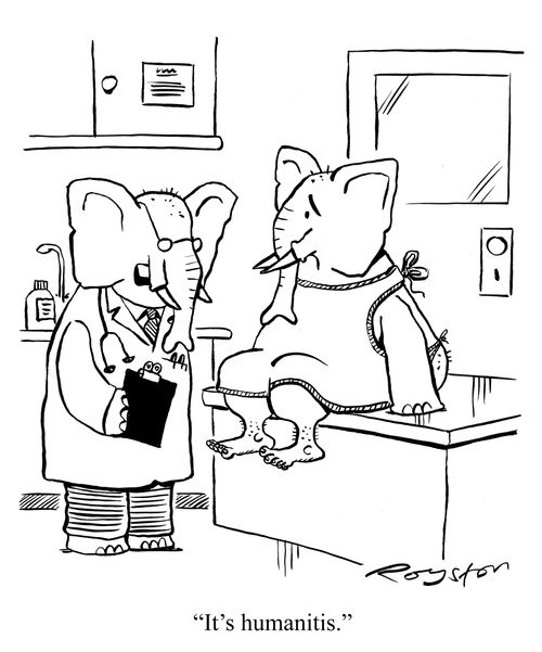 Elephant with human feet. Doctor says: 'It's humanitis.'
