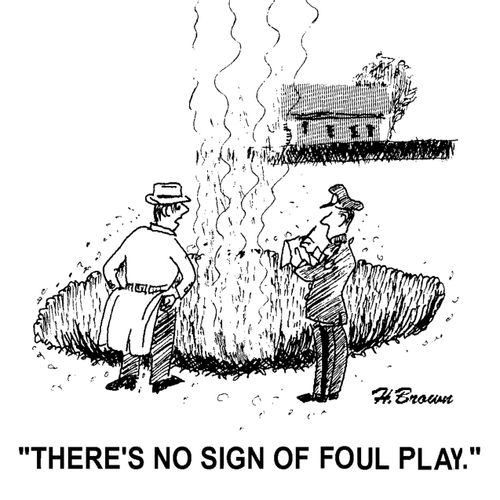 'There's no sign of foul play.'