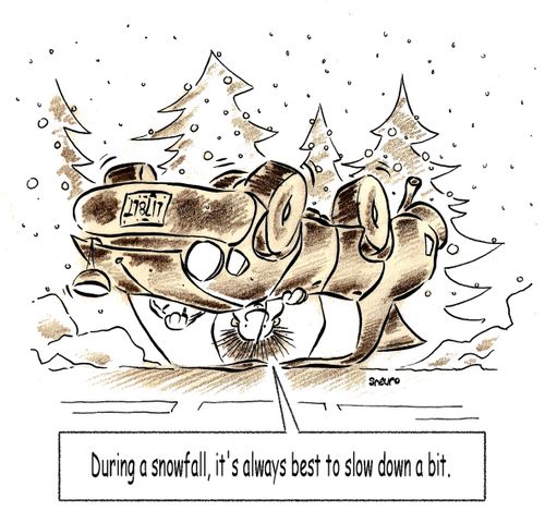 During a snowfall, it's always best to slow down a bit.