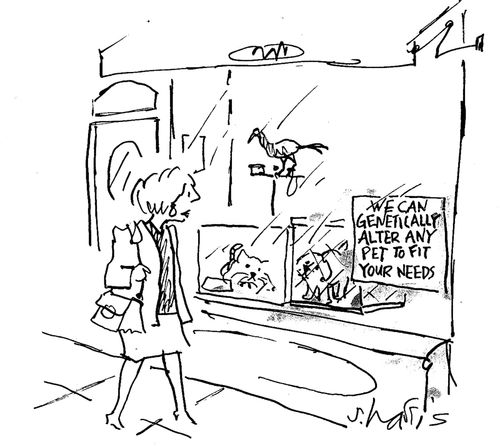 'We can genetically alter any pet to fit your needs.'