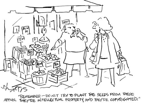 'Remember - do not try to plant the seeds from these apples.  They're intellectual property, and they're copyrighted.'