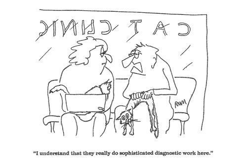 'I understand that they really do sophisticated diagnostic work here.'