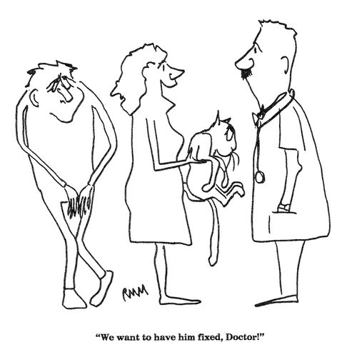 'We want to have him fixed, Doctor!'