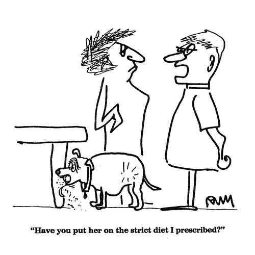'Have you put her on the strict diet I prescribed?'