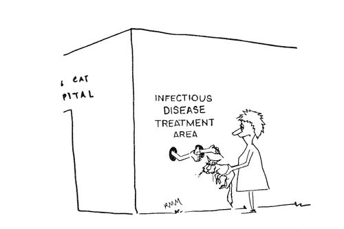 Infectious Disease Treatment Area