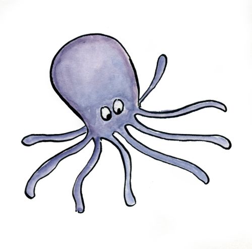 Octopus