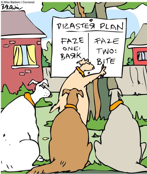 Disaster Plan - Phase 1, Bark - Phase 2, Bite.