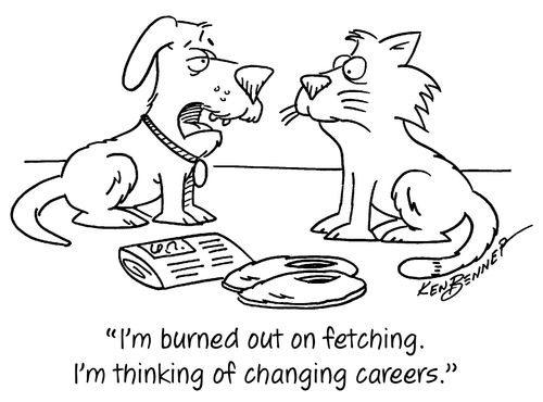 "I'm burned out on fetching. I'm thinking of changing careers."