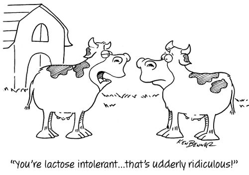 "You're lactose intolerant...that's udderly ridiculous!"