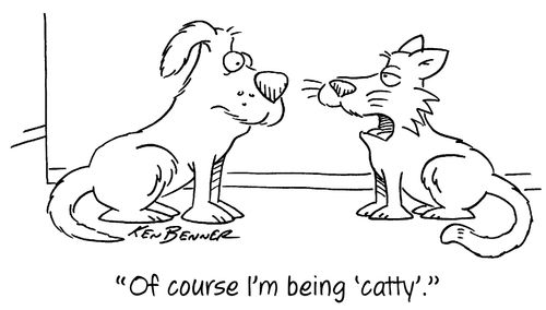 "Of course I'm being 'catty'."