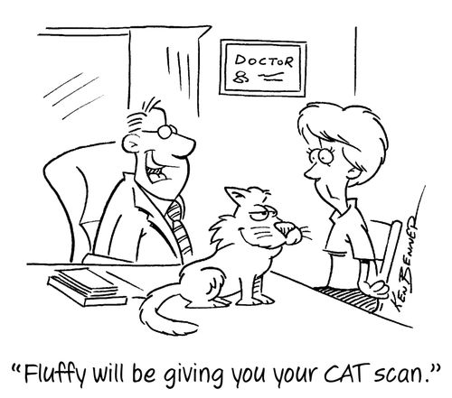 "Fluffy will be giving you rour CAT scan."