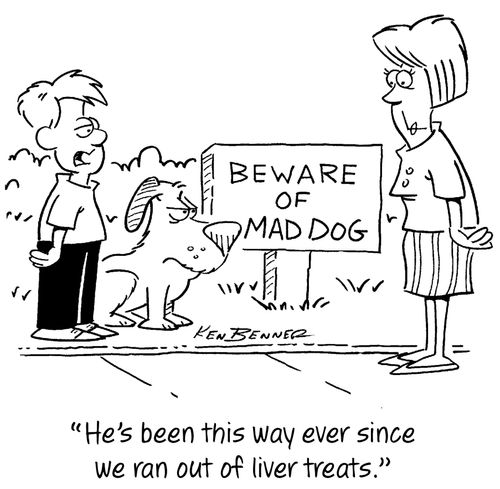 "He's been this way ever since we ran out of liver treats."