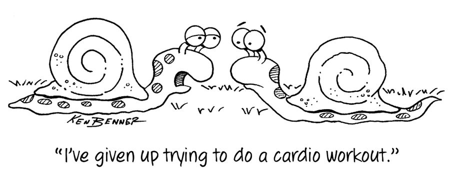 "I've given up trying to do a cardio workout."