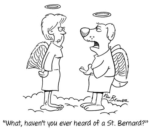 "What, haven't you ever heard of a St. Bernard?"