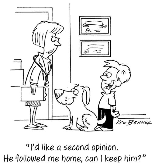 "I'd like a second opinion. He followed me home, can I keep him?"