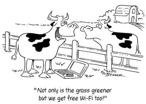 "Not only is the grass greener but we get free Wi-Fi too!"