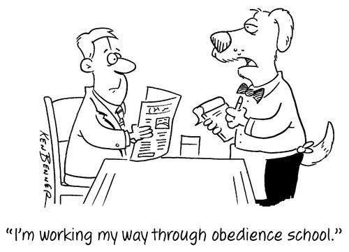 "I'm working my way through obedience school."
