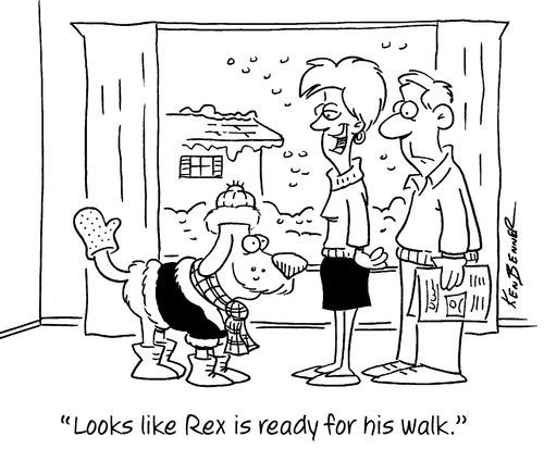 "Looks like Rex is ready for his walk."