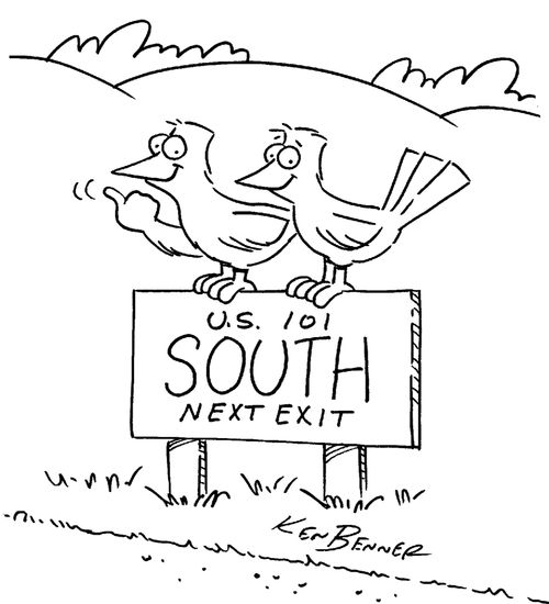 Bird's flying south.